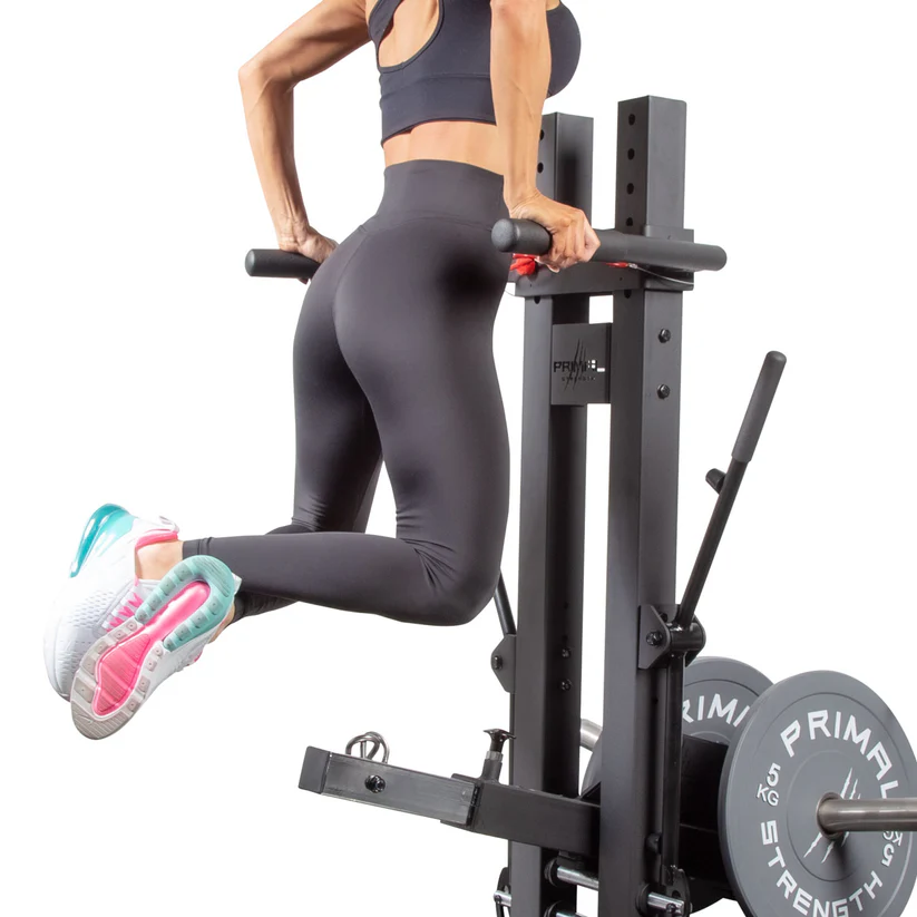 PSSS0072-Belt-Squat-Dips